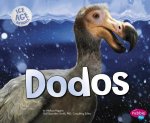 Ice Age Animals: Dodos