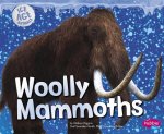 Ice Age Animals: Woolly Mammoths