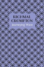 Journeying Wave