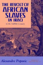 Revolt of African Slaves in Iraq in the III-IX Century