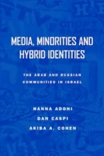 Media, Minorities and Hybrid Identities