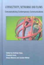 Connectivity, Networks and Flows