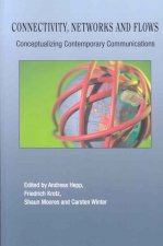 Connectivity, Networks and Flows