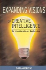 Expanding Visions of Creative Intelligence