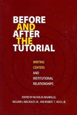 Before and After the Tutorial