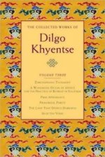 Collected Works of Dilgo Khyentse