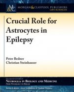 Crucial Role for Astrocytes in Epilepsy