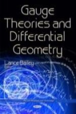 Gauge Theories & Differential Geometry