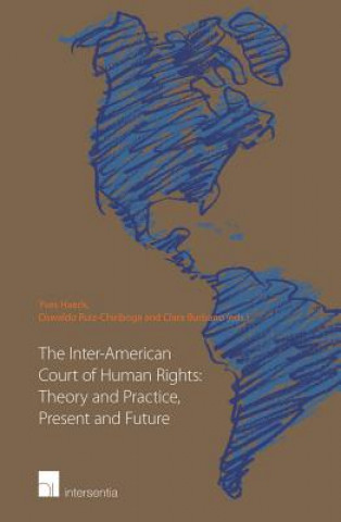 Inter-American Court of Human Rights: Theory and Practice, Present and Future