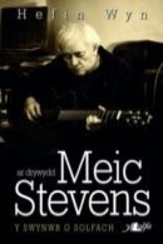 Ar Drywydd Meic Stevens - y Swynwr o Solfach