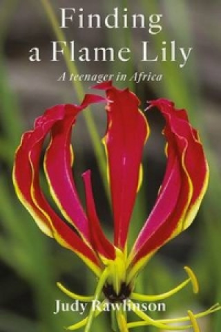 Finding a Flame Lily