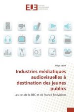 Industries Mediatiques Audiovisuelles A Destination Des Jeunes Publics