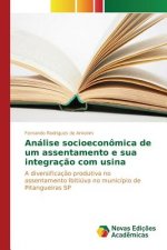 Analise socioeconomica de um assentamento e sua integracao com usina