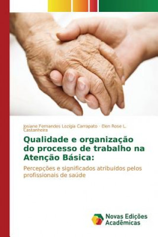 Qualidade e organizacao do processo de trabalho na Atencao Basica