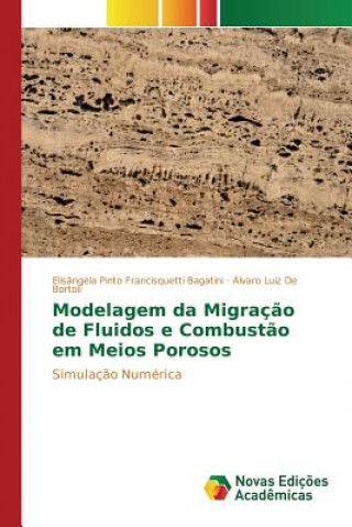 Modelagem da Migracao de Fluidos e Combustao em Meios Porosos