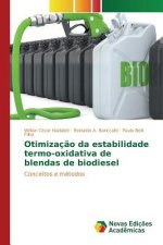 Otimizacao da estabilidade termo-oxidativa de blendas de biodiesel