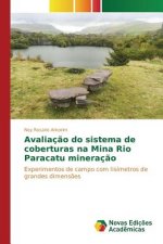 Avaliacao do sistema de coberturas na Mina Rio Paracatu mineracao