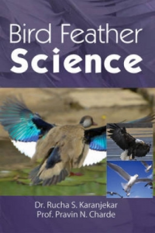 Bird Feather Science