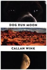 Dog Run Moon