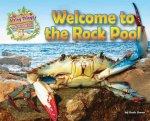 Living Things and Their Habitats: Welcome to the Rock Pool