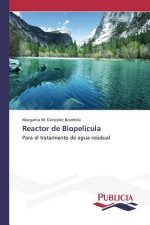 Reactor de Biopelicula