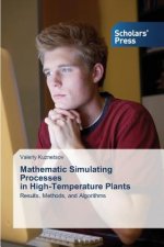 Mathematic Simulating Processes in High-Temperature Plants