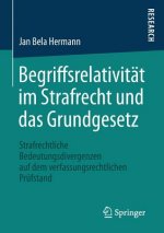 Begriffsrelativitat im Strafrecht und das Grundgesetz