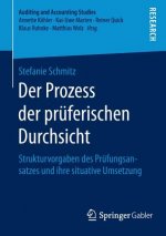 Der Prozess der pruferischen Durchsicht