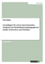 Grundlagen fur einen internationalen Vergleich der Rehabilitationspadagogik der Lander Schweden und Finnland