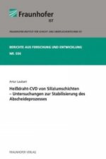 Heißdraht-CVD von Siliziumschichten - Untersuchungen zur Stabilisierung des Abscheideprozesses.