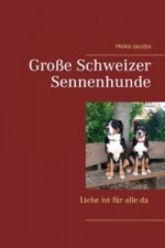 Große Schweizer Sennenhunde-Liebe ist für alle da