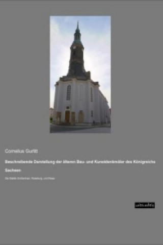 Beschreibende Darstellung der älteren Bau- und Kunstdenkmäler des Königreichs Sachsen