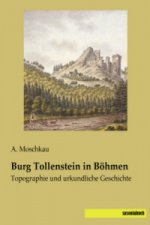 Burg Tollenstein in Böhmen