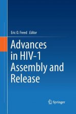 Advances in HIV-1 Assembly and Release