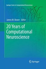 20 Years of Computational Neuroscience