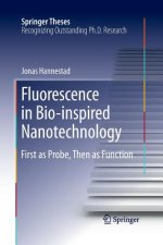 Fluorescence in Bio-inspired Nanotechnology