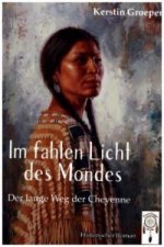 Im fahlen Licht des Mondes