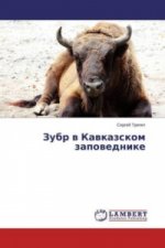 Zubr v Kavkazskom zapovednike