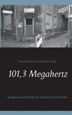 101,3 Megahertz