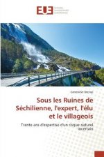 Sous Les Ruines de Sechilienne, Lexpert, Lelu Et Le Villageois