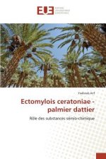 Ectomylois Ceratoniae - Palmier Dattier