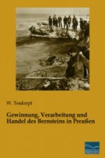 Gewinnung, Verarbeitung und Handel des Bernsteins in Preußen