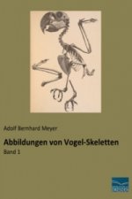 Abbildungen von Vogel-Skeletten