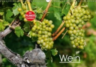 Wein (Wandkalender immerwährend DIN A3 quer)