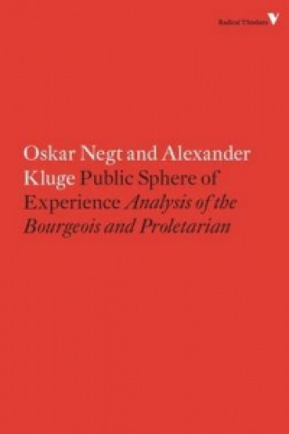 Public Sphere and Experience