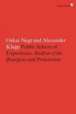 Public Sphere and Experience