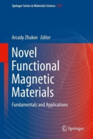 Novel Functional Magnetic Materials