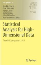 Statistical Analysis for High-Dimensional Data