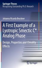 First Example of a Lyotropic Smectic C* Analog Phase