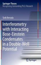Interferometry with Interacting Bose-Einstein Condensates in a Double-Well Potential
